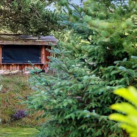 Feriehus 2805-romo-a-hveyselsvej-8 Vesterhede